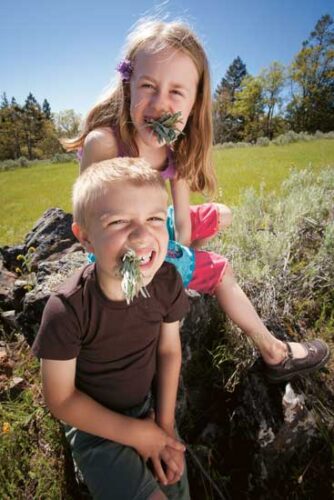 Identify Poisonous Plants and Bugs